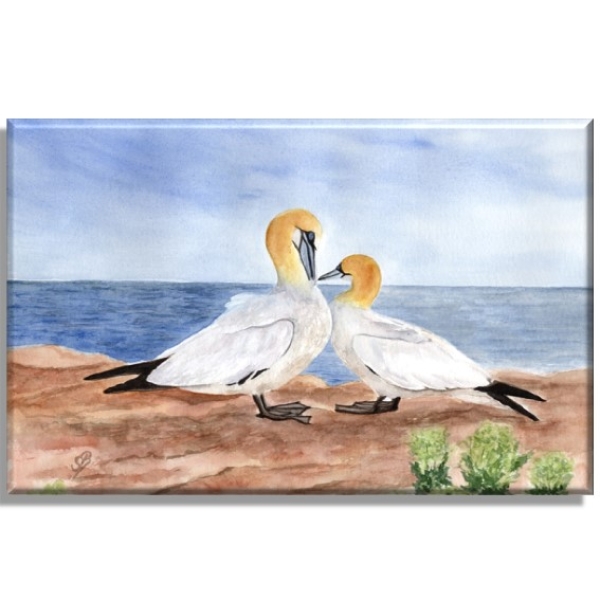 Leinwand 40 x 30 cm Keilrahmen Canvas-Leinen Aquarell Maritim Kunst Druck Kunstdruck Nordsee Insel Helgoland Basstölpel Vögel Lange Anna Felsen